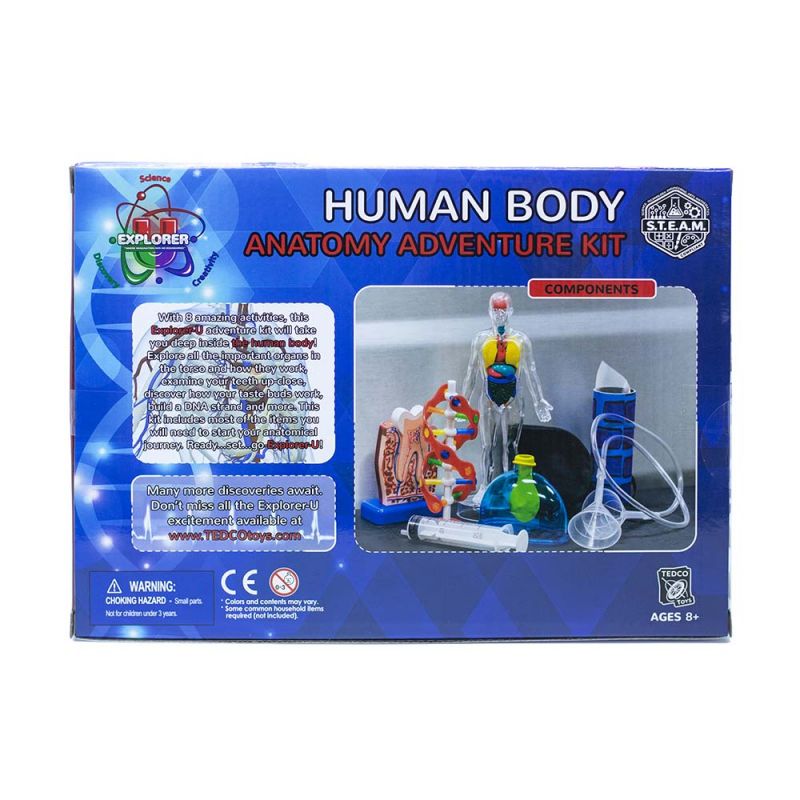 Human Body Adventure Kit