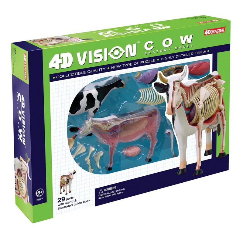 4D Cow