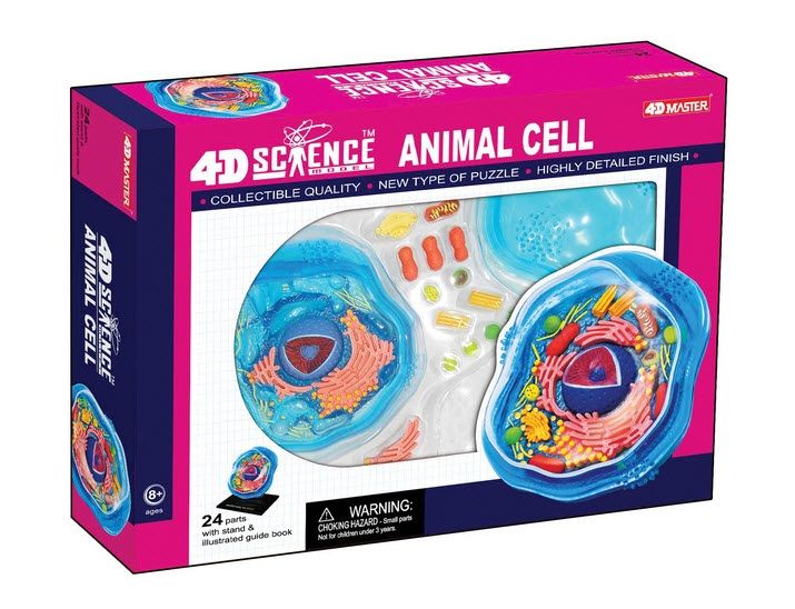 4D Science Animal Cell