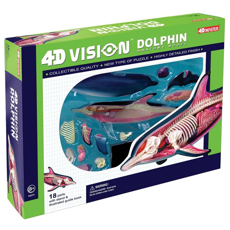 4D Dolphin