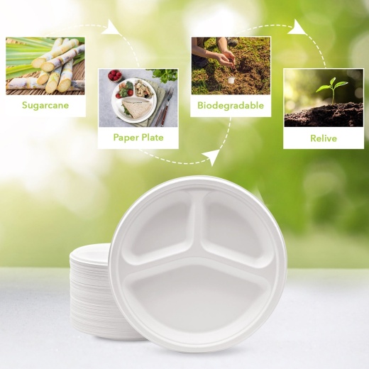 [Case of 500] 100% Compostable 10 Inch Heavy-Duty Plates 3 Compartment  Eco-Friendly Disposable Sugarcane Paper Plates