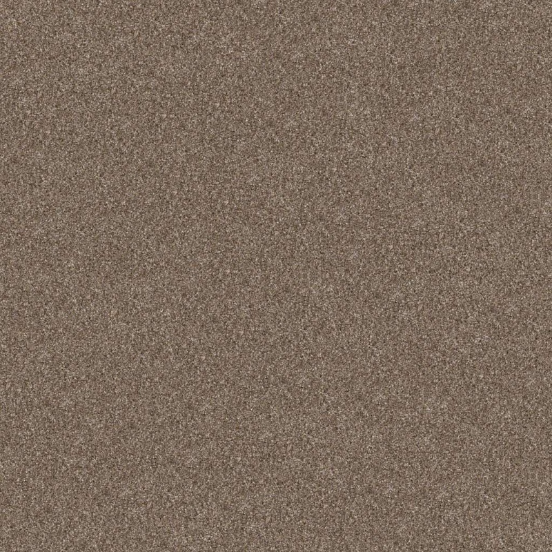 Pet Perfect Yes You Can I 12' Honeycomb Polyester Carpet