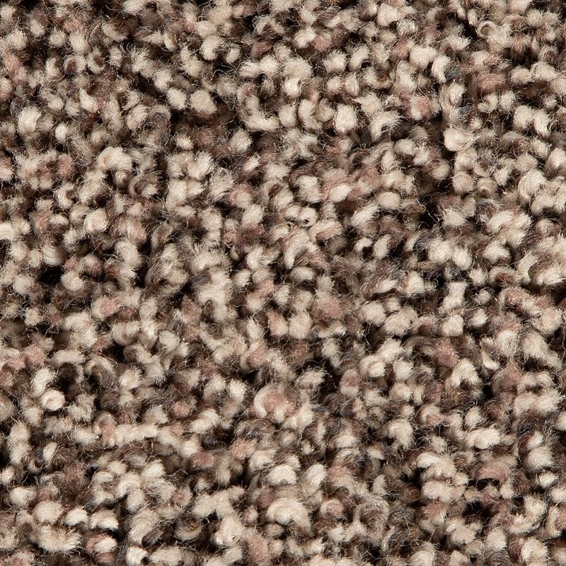 Soft Accolade I Perfect Beige Polyester Carpet - Textured