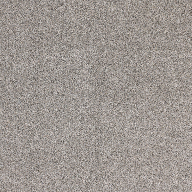 Optics Genesis Polypropylene Carpet - Textured