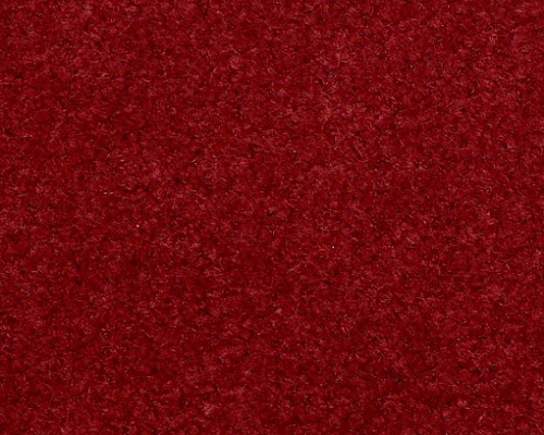 Emphatic II 30 Garnet Rose Nylon Carpet - Textured
