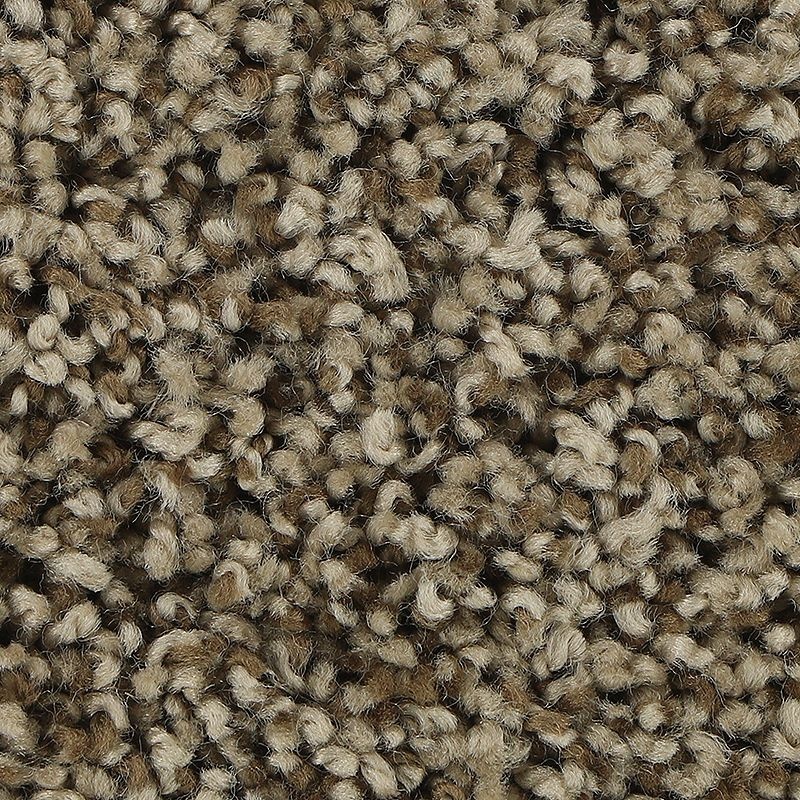 Soft Aspect Dockside Polyester Carpet - Textured
