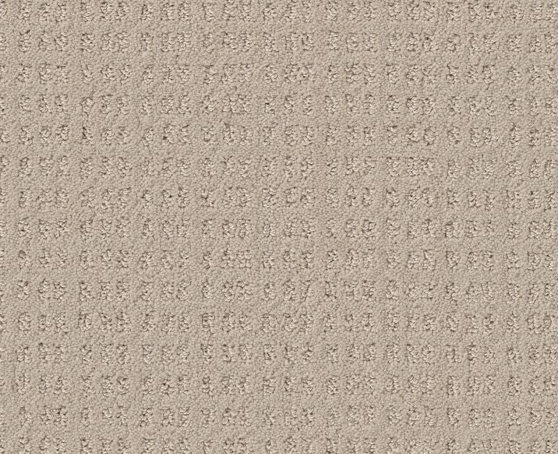 Now Or Never Butter Cream Nylon Carpet - Loop