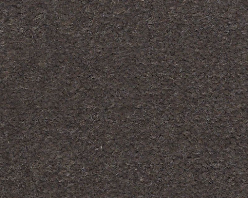 Emphatic II 30 Sandy Taupe Nylon Carpet - Textured