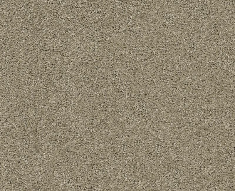 Orlando Pv Gray Flannel Nylon Carpet - Textured