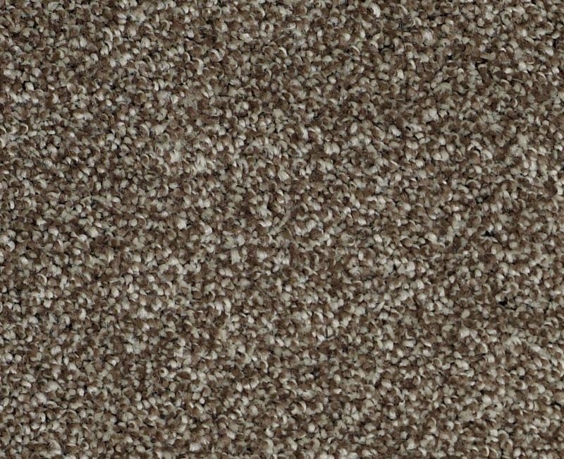 Always On Time Cobble Brown Nylon Carpet - Textured