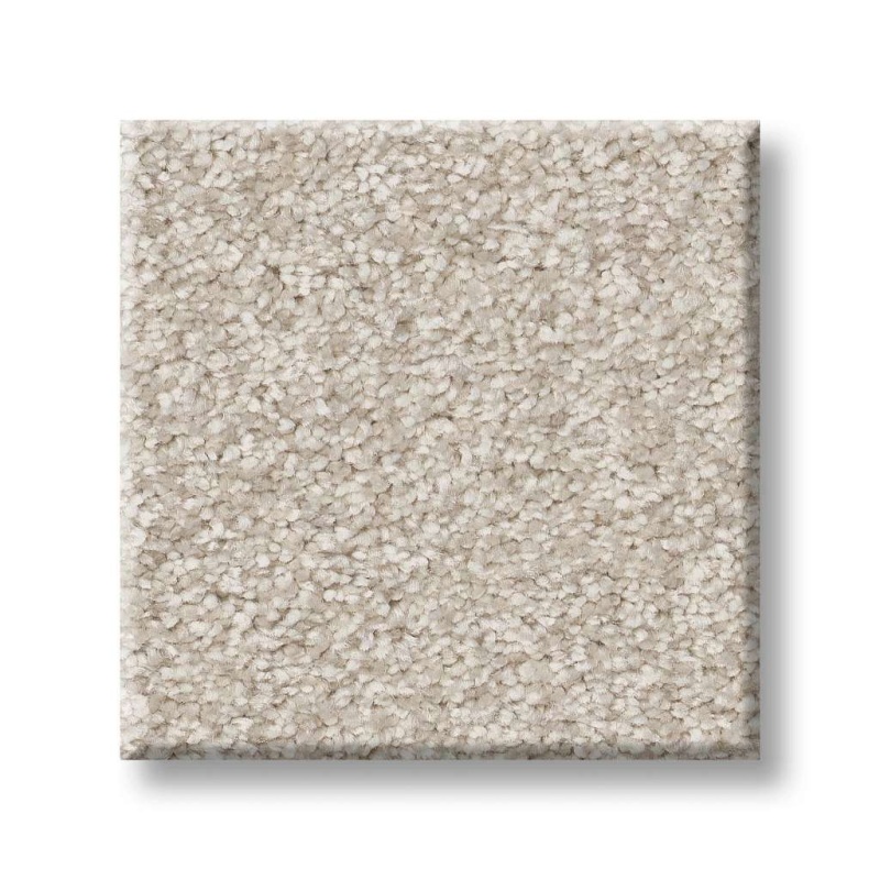 Pet Perfect You Got This III Warm Light Polyester Carpet
