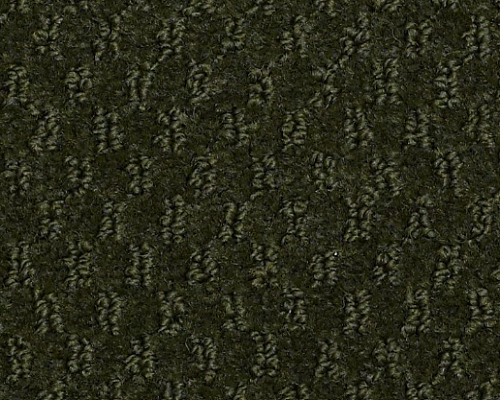 Latest Trend Mount Holly Nylon Carpet - Pattern