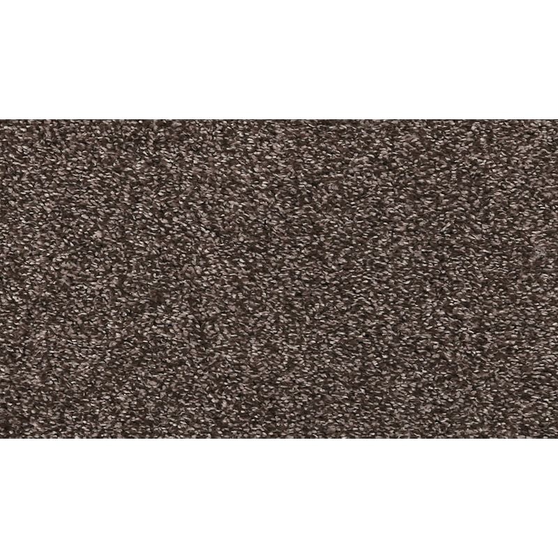 Luxuriant Life Lite Espresso Triexta Carpet - Textured