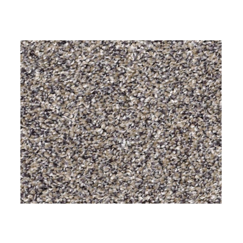 Captured I Reflection Polyester Carpet - Textured