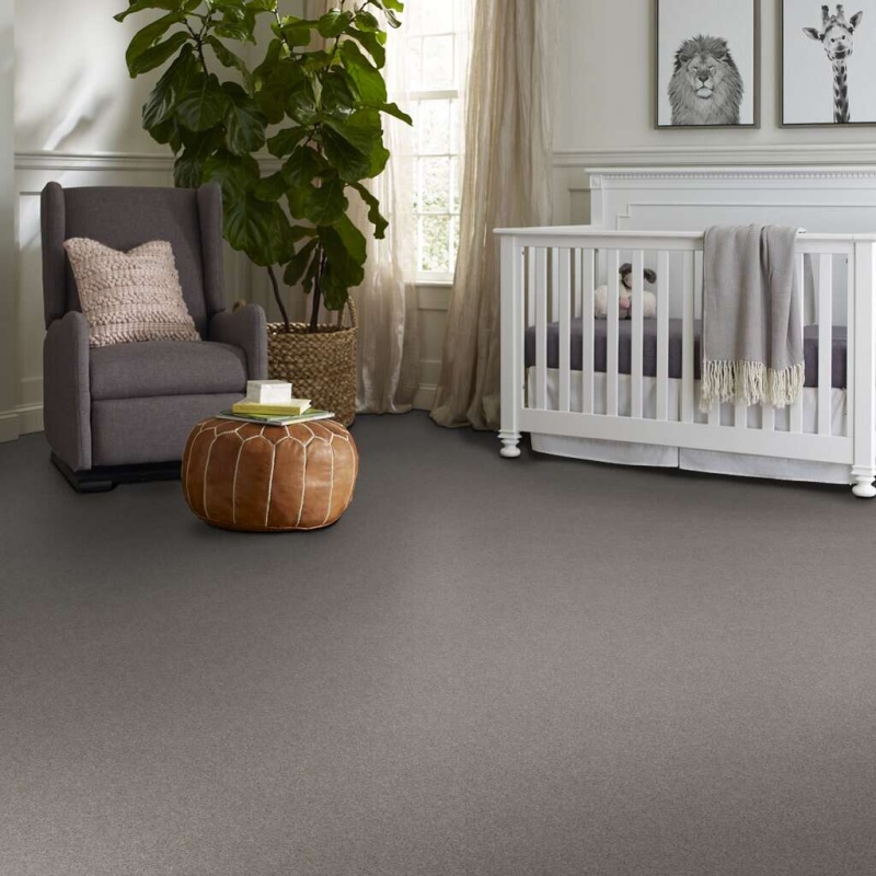 Caress By Shaw Quiet Comfort Classic I Pacific Nylon Carpet - Textured