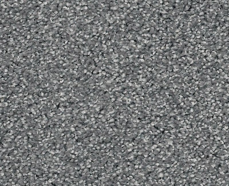 Always On Time Harbor Nylon Carpet - Textured