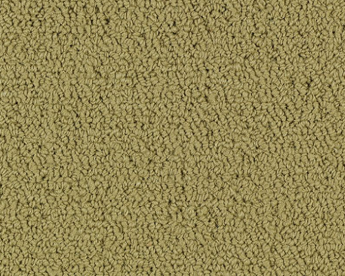 Color Accents BL Herbal Nylon Carpet - Loop