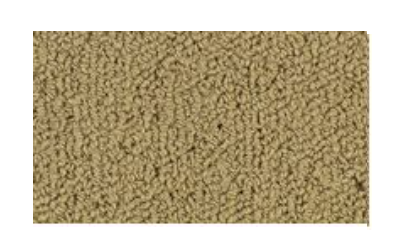Color Accents Bl Pecan Nylon Carpet - Loop