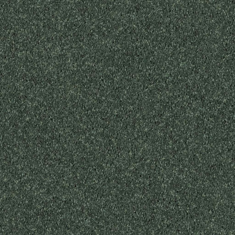 All Star Weekend II 15' Going Green Polyester Carpet - Textured