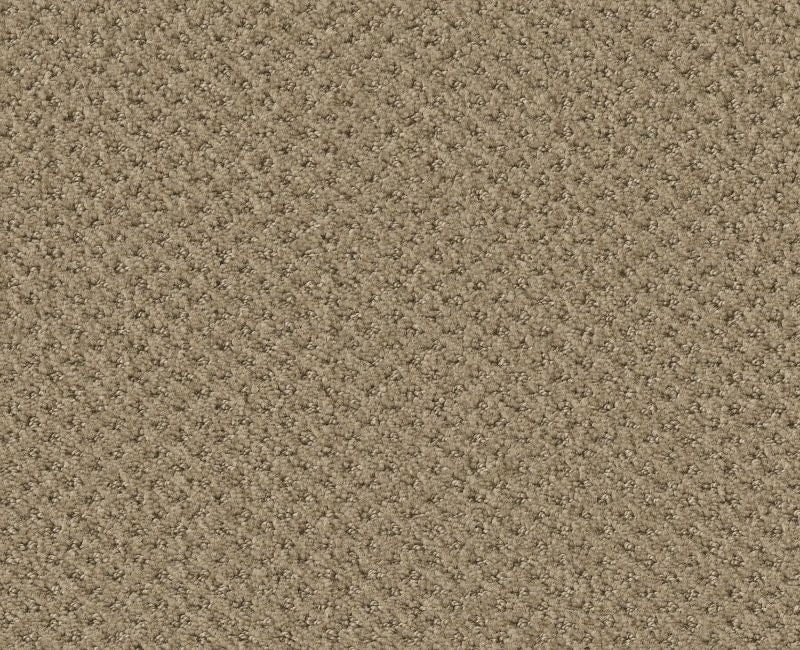 Gentle PV Mushroom Nylon Carpet - Pattern