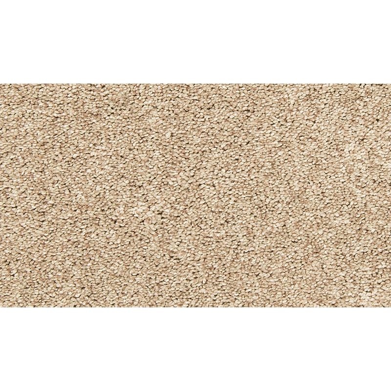 Bold Creation Hickory Bark Polyester Carpet - Textured