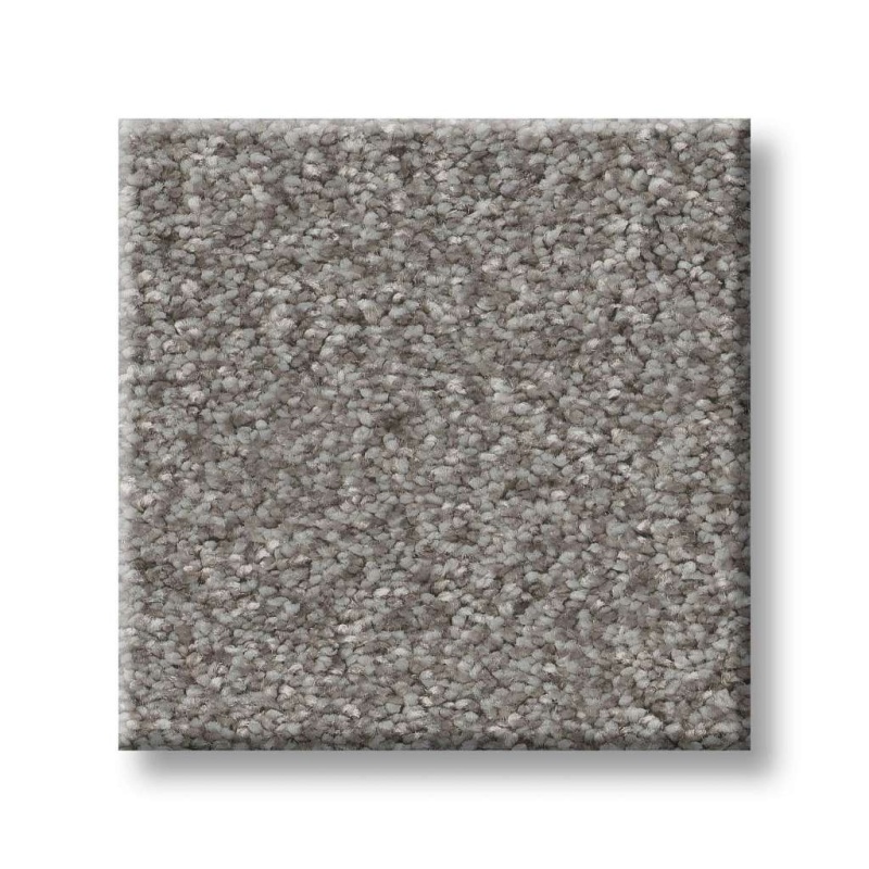 Pet Perfect You Got This I Vintage Polyester Carpet