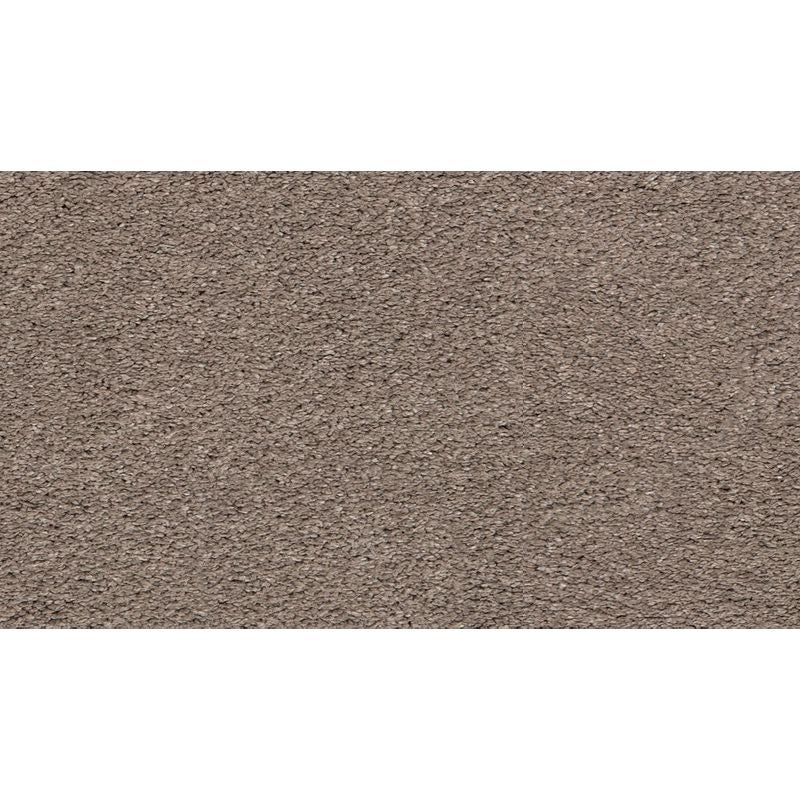 Pleasant Touch Gondola Triexta Carpet - Textured