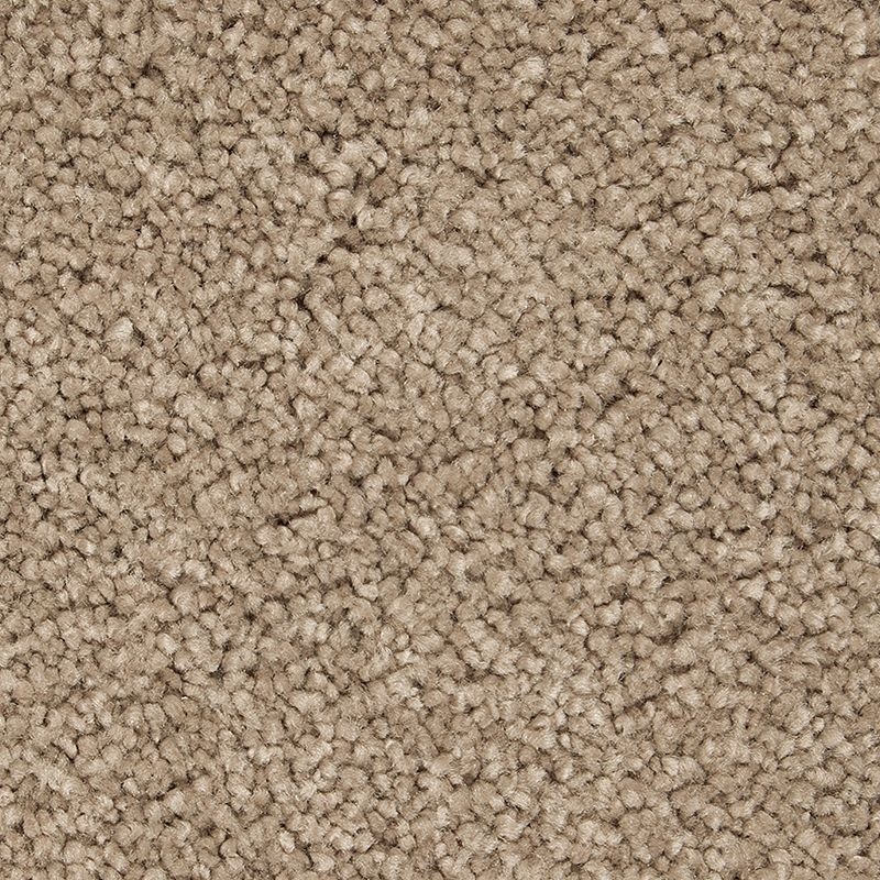 Gentle Approach Tudor Brown Triexta Carpet - Textured