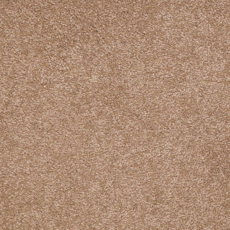 Magic At Last Ii 12 Malted Milk Nylon Carpet - Textured
