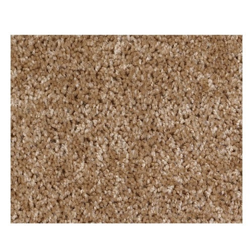 Silver Strand Veranda Nylon Carpet - Textured