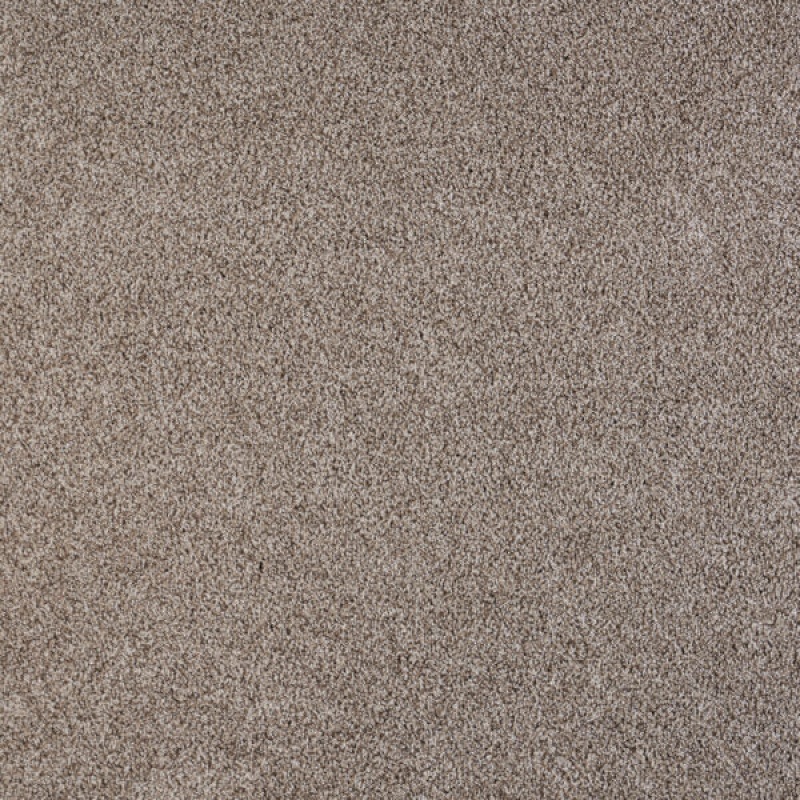 North Star Aglow Polypropylene Carpet - Textured