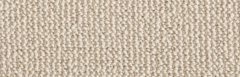 Natural Wonders Shawnee Oyster Wool Blend Carpet - Textured