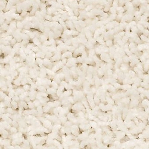 Morro Coast Swan Nylon Carpet - Textured