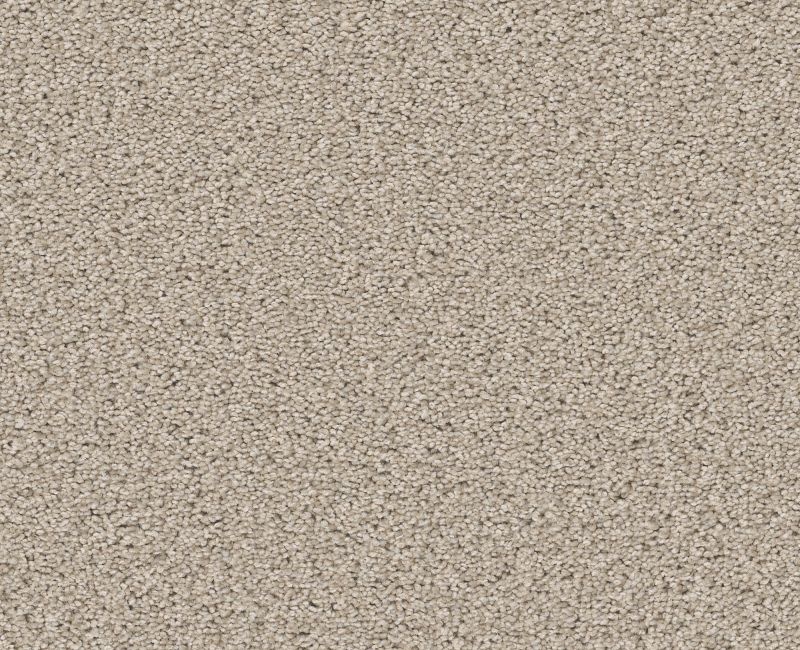 Trusolutions Iii Sugar Cookie Polyester Carpet - Textured