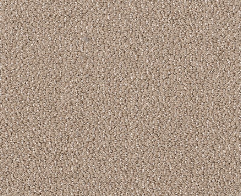 Devious Look Thatched Roof Polyester Carpet