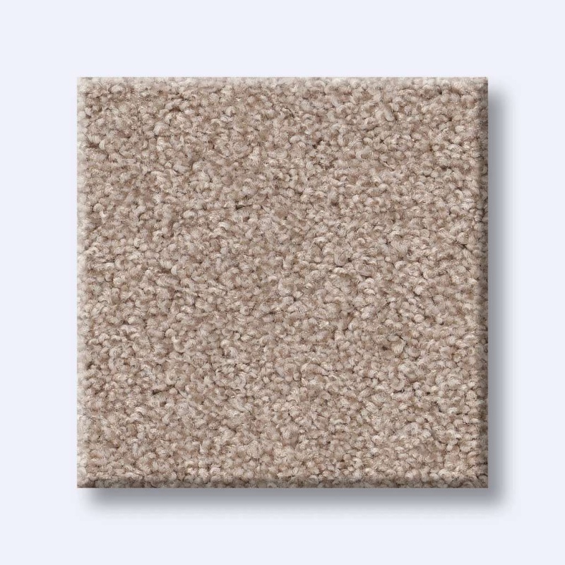 Foundations Harmonious Iii Heirloom Nylon Carpet - Textured