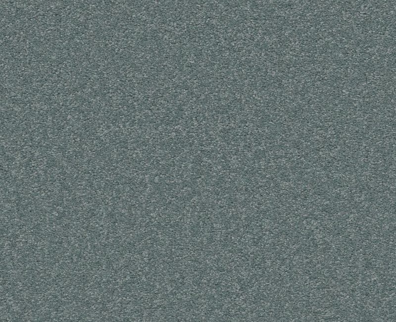 Magic Happens Pv Iv Wedgwood Blue Nylon Carpet - Textured