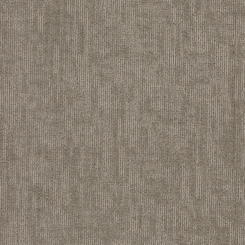Duo Carbon Copy Ii Bl Manuscript Nylon Carpet - Textured