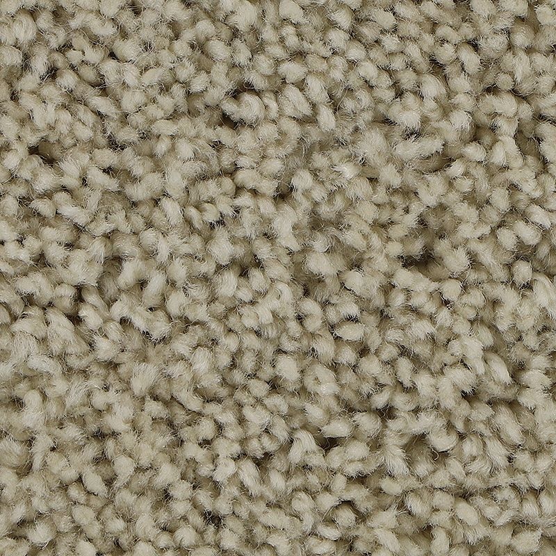 Soft Outlook Romano Polyester Carpet