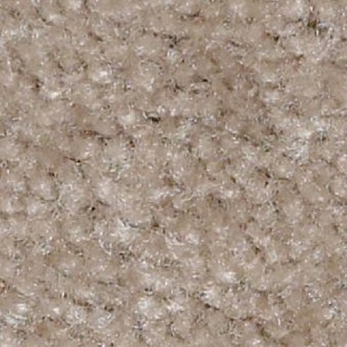 It List Ladys Choice Nylon Carpet - Textured