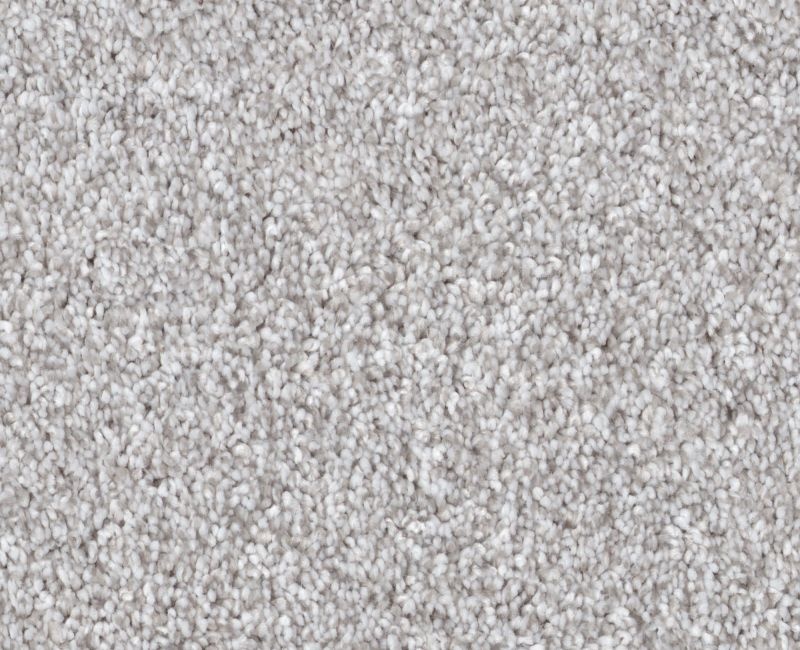 Cavallini Silver Lining Polyester Carpet - Loop