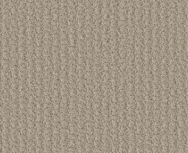 Lose Control Studio Taupe Nylon Carpet - Loop