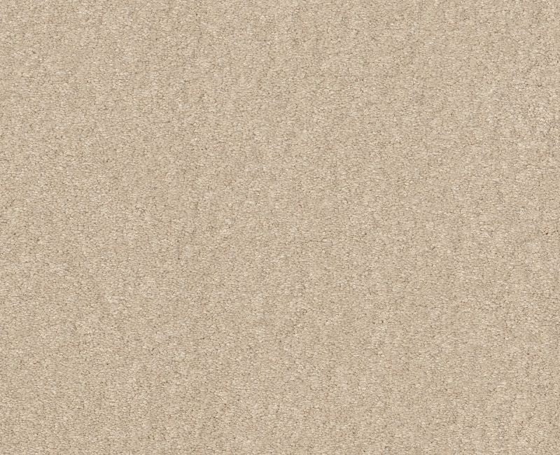 Qs159 12' Pudding Nylon Carpet - Textured