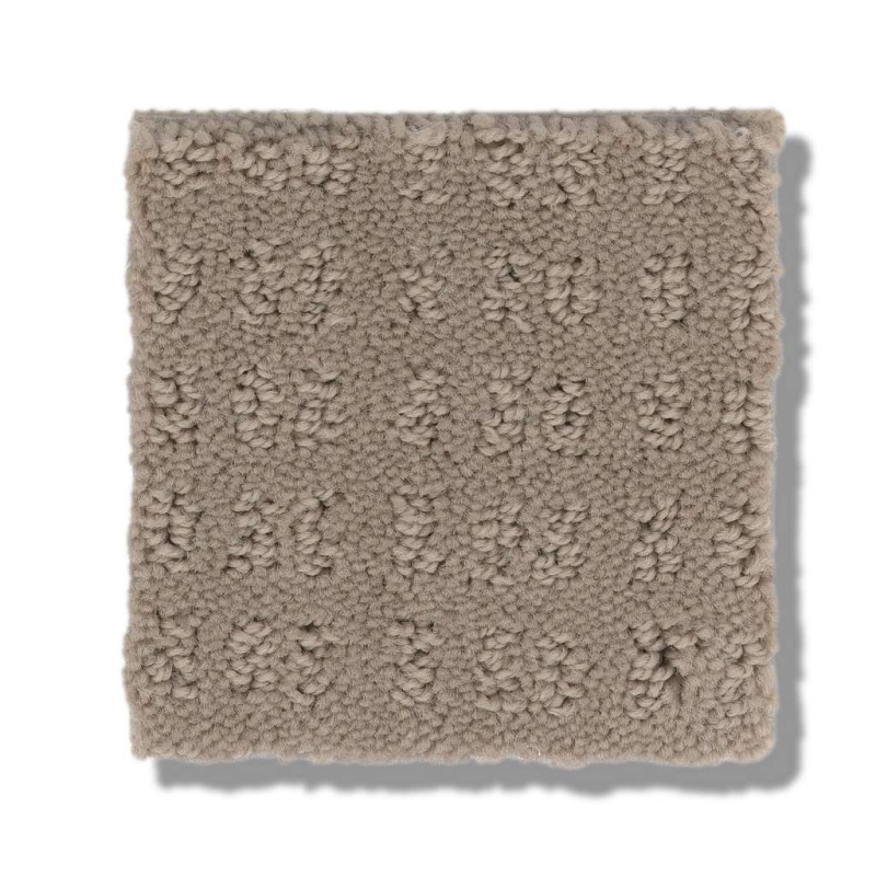Foundations Essential Now Desert View Nylon Carpet