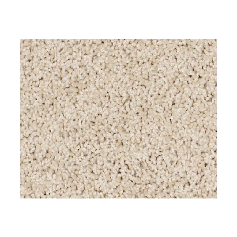 Butterfly Kisses III Apple Crunch Nylon Carpet - Textured