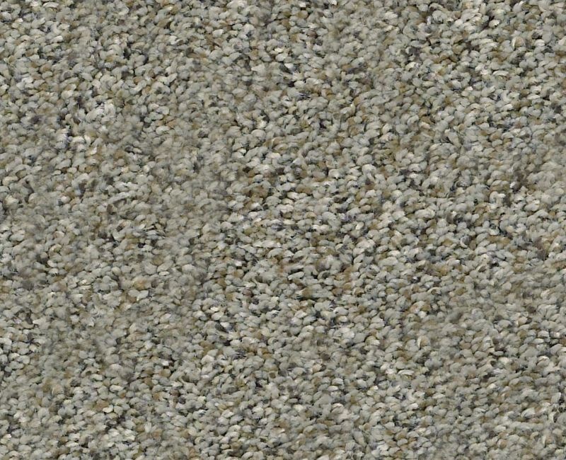 Marks The Spot I Beach Walk Polyester Carpet - Textured