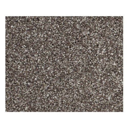 Vacation Day Granola Nylon Carpet - Textured