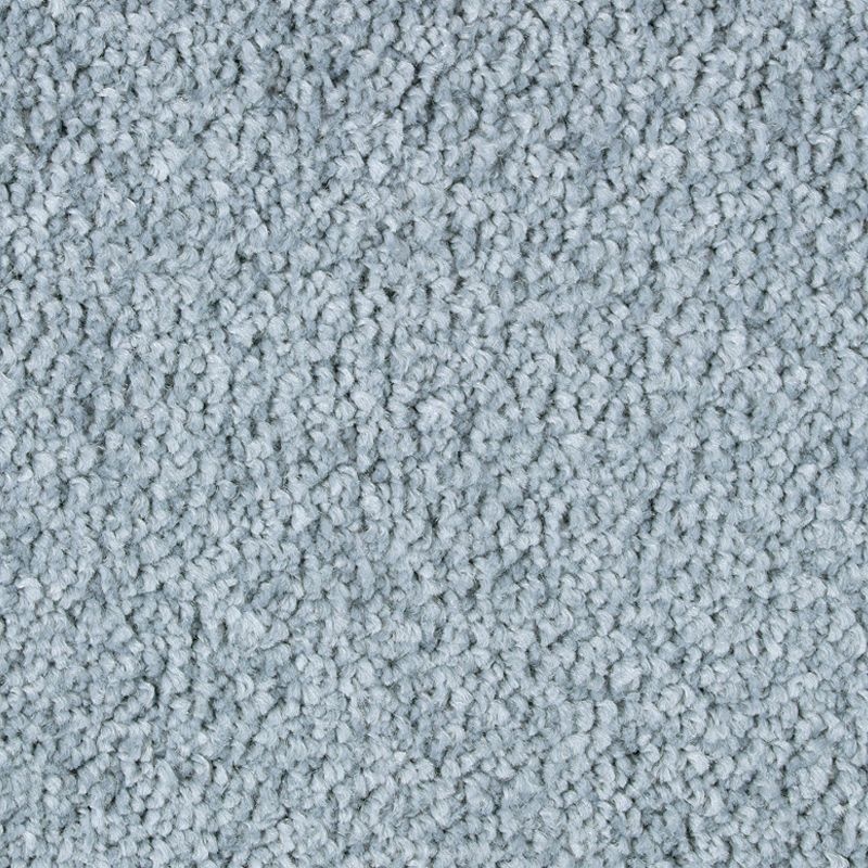 Exquisite Attraction Serenity Triexta Carpet - Textured