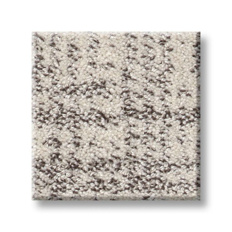 Pet Perfect Run Free Marble Polyester Carpet