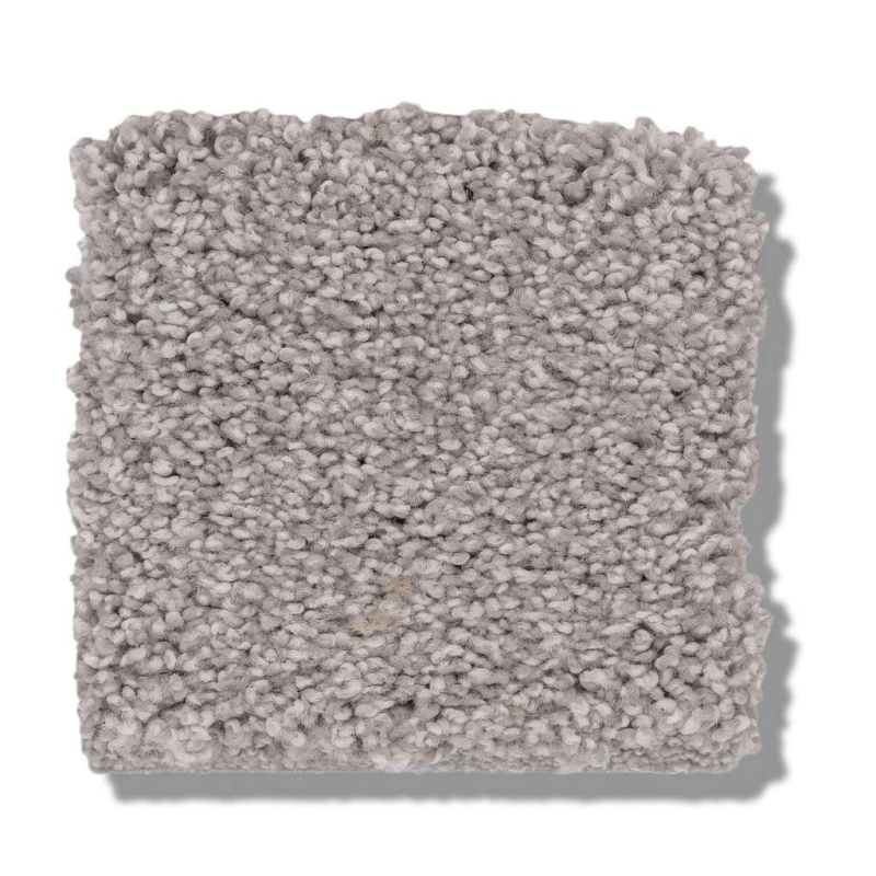 Caress By Shaw Cozy Harbor I Cold Winter Nylon Carpet
